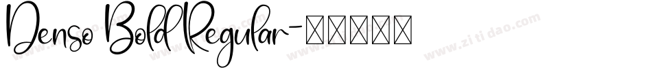 Denso Bold Regular字体转换